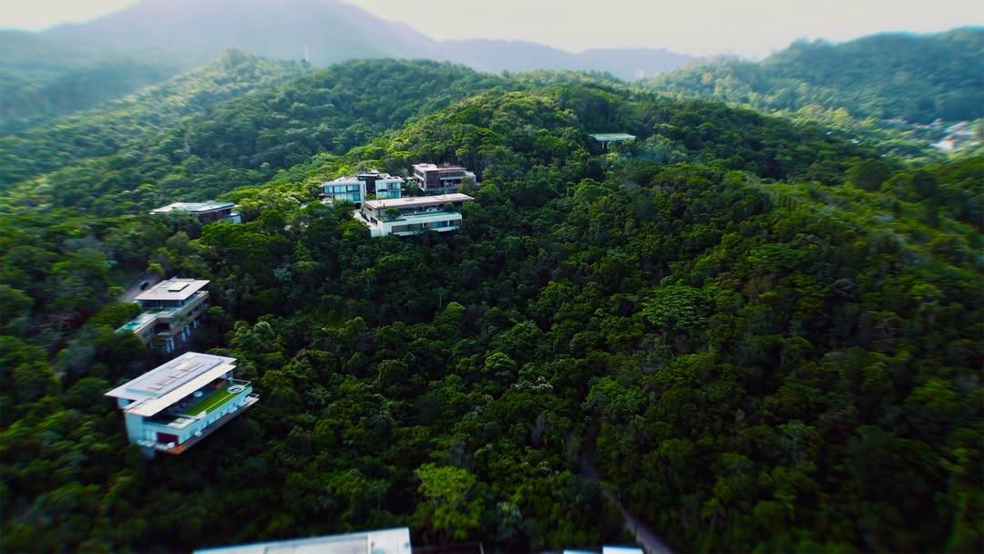 Mata Atlântica aérea
